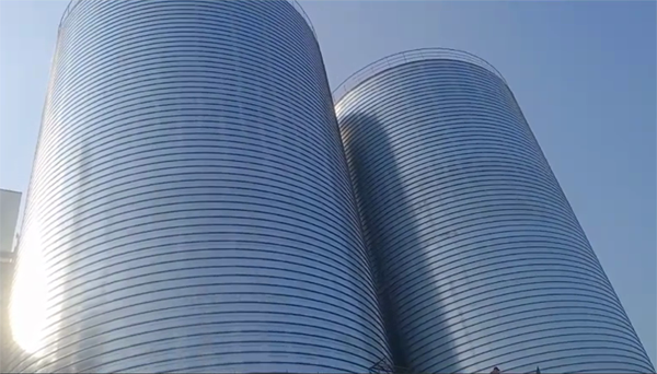 龙门2座混凝土高架卷板仓